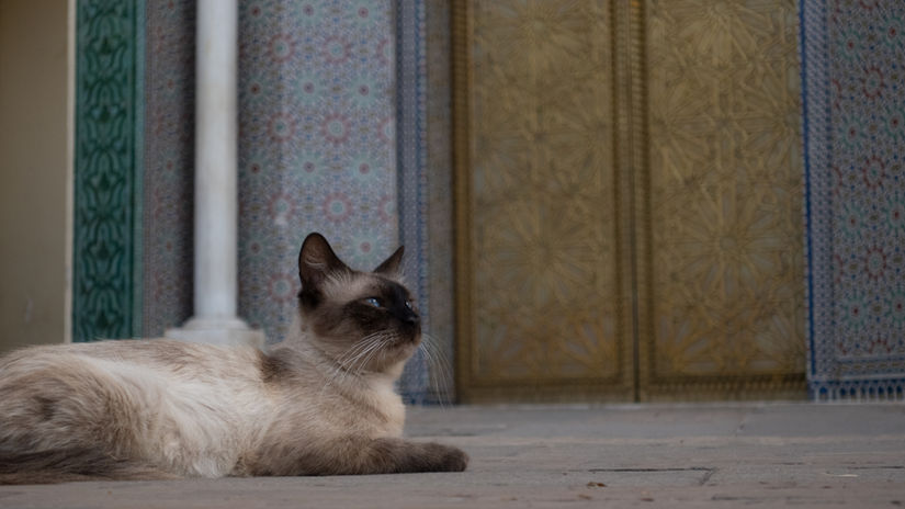 Marokko Sommerferien 2025